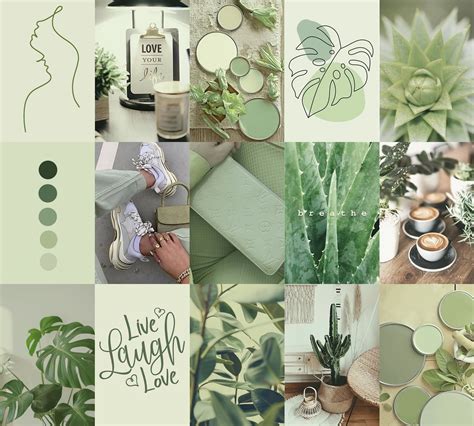 Sage Green Aesthetic Room Decor 75 Photo