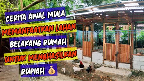 MODAL PAS PASAN MANFAATKAN LAHAN KOSONG DI BELAKANG RUMAH UNTUK