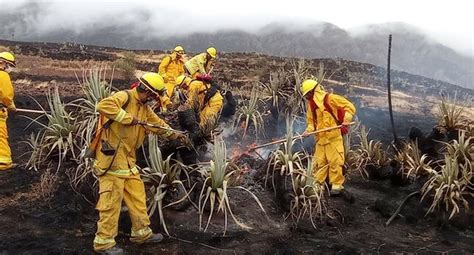 Cusco Expertos En Incendios Forestales Ayudarán A Extinguir Fuego Que Afecta Bosques De