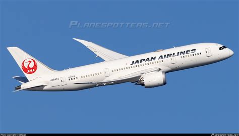 JA847J Japan Airlines Boeing 787-8 Dreamliner Photo by OMGcat | ID ...