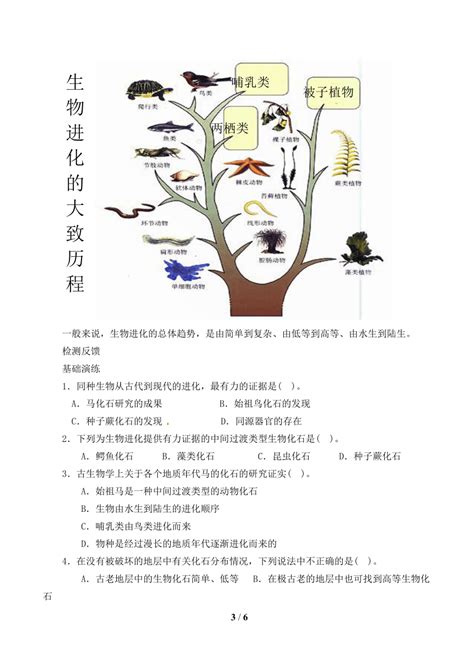 苏教版八年级生物上册 162生物进化的历程 教 案 21世纪教育网