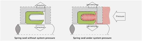 How Do Spring Energized Seals Work