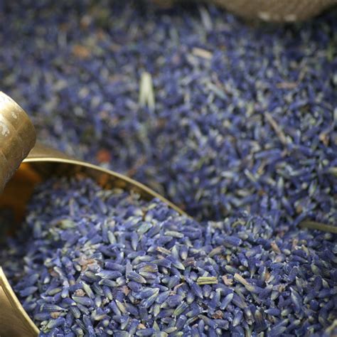 French Lavender Seeds For Your Home or Garden - A Unique Provence Gift ...