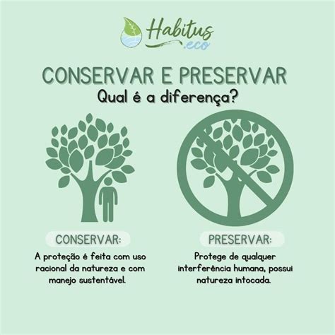 Qual é a Diferença Entre Preservação e Conservação Ambiental