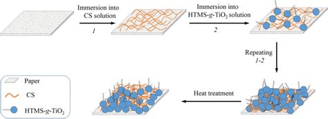 Schematic Diagram Of Preparation Procedure Of Superhydrophobic Paper