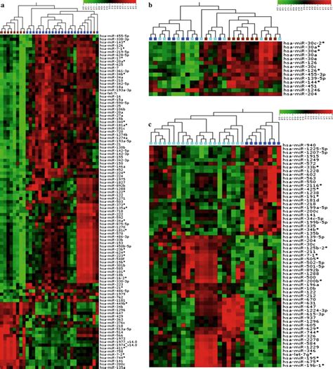 Mirna Microarray Heat Maps Show Statistical Significant Differences P