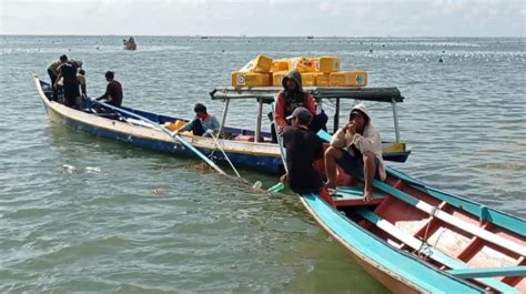 Hari Ini Dkp Kaltara Pasang Tanda Batas Budidaya Rumput Laut Di