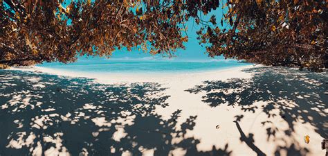 Our Story — Takamaka Rum