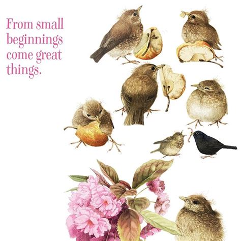 Sunday Inspirational From Small Beginnings Come Great Things To See