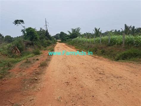 24 Gunta Agriculture Land For Sale Near Mysore Mysore FarmAds In