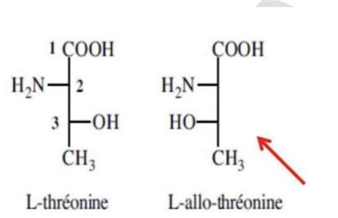 Structure Aa Et Peptide Cartes Quizlet