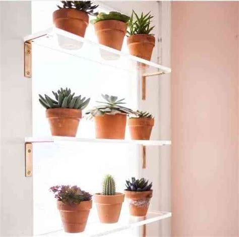 Formas De Decorar El Interior De Las Ventanas Con Plantas