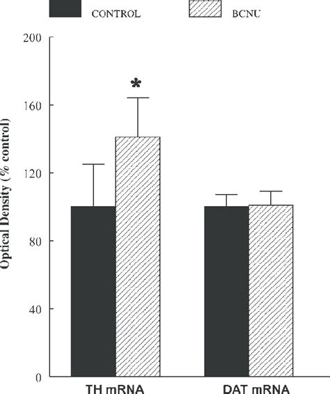 Quantitation Of Tyrosine Hydroxylase Th And Dopamine Transporter Download Scientific Diagram