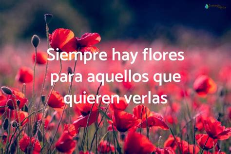 110 Frases De Flores Cortas Y De Amor ¡inspírate Con Las Siguientes