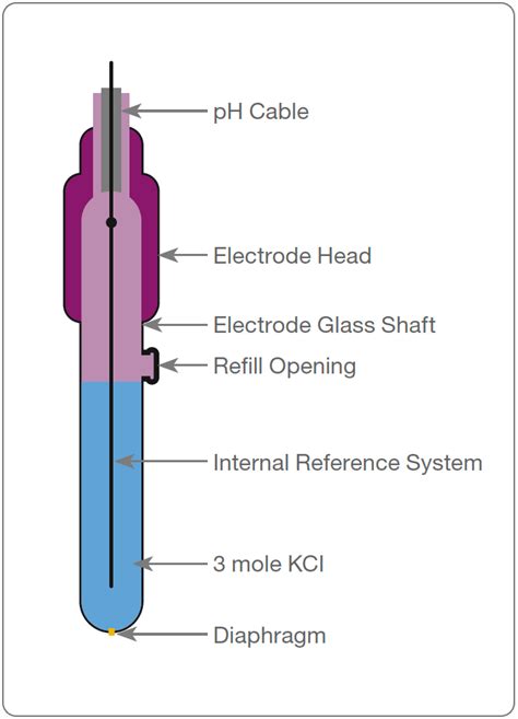 Reference Electrode In Ph Meter Online Codes | www.oceanproperty.co.th