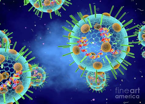 Myxovirus Photograph By Roger Harrisscience Photo Library Pixels