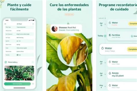 Aplicaciones M Viles Gratuitas Para Cuidar Y Identificar Plantas