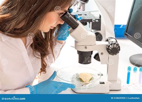 Inspection Of The Quality Of Vegetables And Fruits In The Laboratory Of