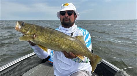 Green Bay Summer Walleye Fishing Youtube