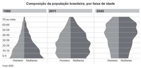 AIO Analise A Imagem A Seguir Piramide Etaria E Um Grafico