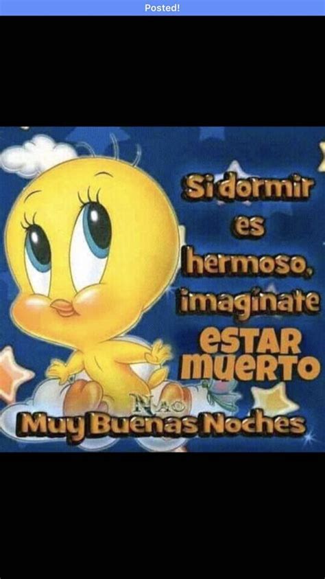 Buenas Noches Piolin Memes De Tios Memes Mejores Memes