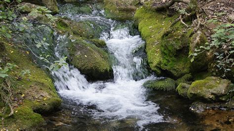 Bach Frankreich Wasser Kostenloses Foto Auf Pixabay