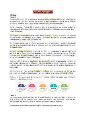 Modulo Analisis Del Consumidor Tema El Proceso De Decisi N De