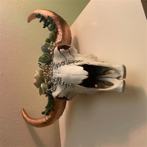 Bull Skull, Succulent Decor, Cow Skull Wall Decor, Southwest Decor, Cow ...