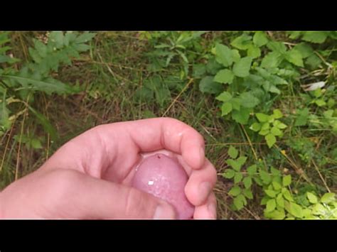 Pissing In Nature XVIDEOS