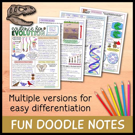 Evidence For Evolution Lesson Bundle Emmatheteachie