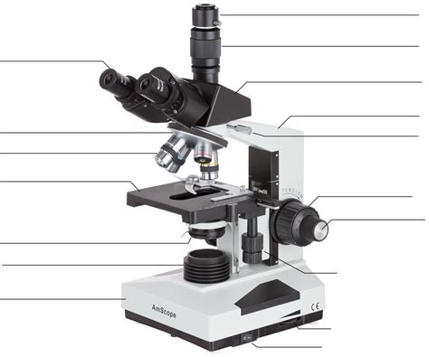 Diagram Compound Bright Field Microscope Diagram Quizlet