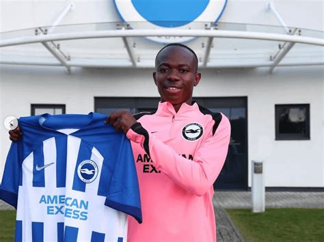malick yalcouye  readying   brighton   champions