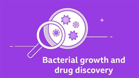 Gcse Biology Questions Bacterial Growth And Drug Discovery Gcse