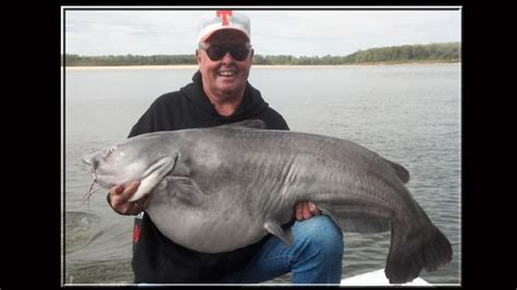 Bill Dance Promoting Mississippi River Monsters Catfish Tournament