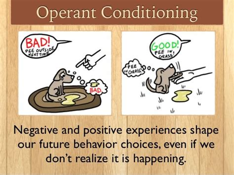 Operant Conditioning | Operant conditioning, Conditioner, Child ...