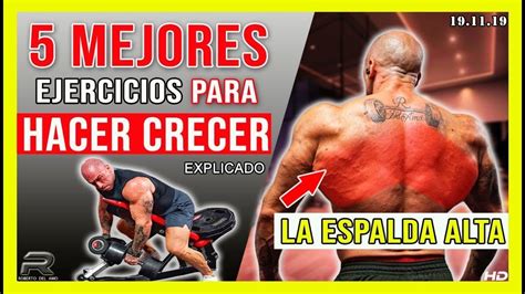 Mejores Ejercicios Para Hacer Crecer La Espalda Alta Youtube