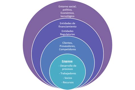 Ejemplos De La Organización Como Sistema En Diversos Contextos