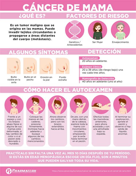 Cómo Reducir El Riesgo De Desarrollar Cáncer De Mama En Hombres Y