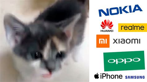 Cute Kitten Meows But Famous Phone Ringtones YouTube