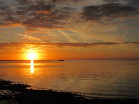 Kats Door Geeske Harkema Kats Genieten Bij Zonsopkomst Va Flickr