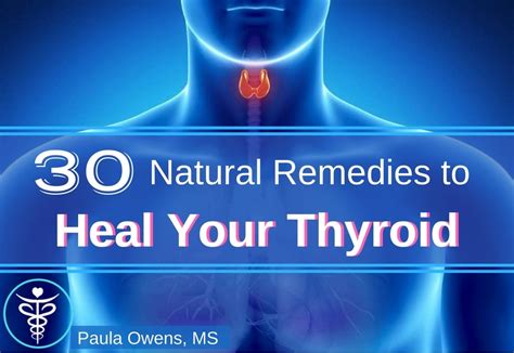 Thyroid Health And Hypothyroid Part 3 Paula Owens