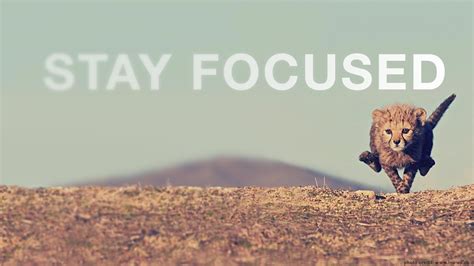 Stay Focused Desktop Wallpapers - Wallpaper Cave