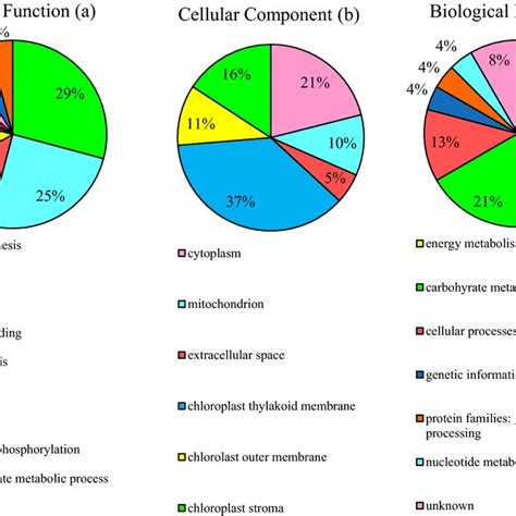 A Representative Pie Charts Of Functional Classification For