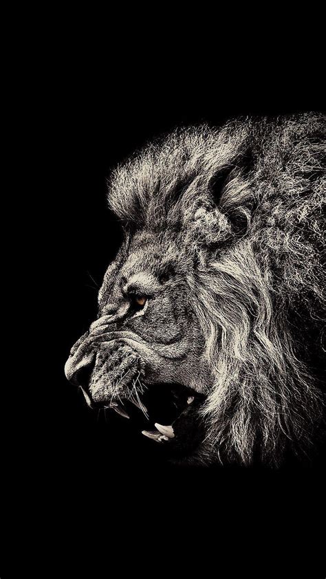 Dark Lion Wallpapers - Wallpaper Cave