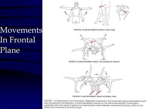 Ppt Motion Description Concepts And Terminology Pp Powerpoint