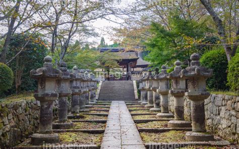 【三井寺（園城寺）唐院探題灯篭】の画像素材31248032 写真素材ならイメージナビ