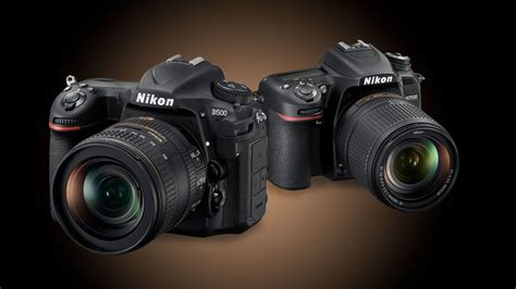 Nikon D500 vs D7500 | Digital Camera World