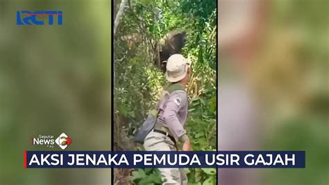 Aksi Jenaka Petugas Usir Gajah Di Lampung Seputarinewspagi Youtube