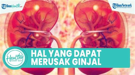 Suka Konsumsi Makanan Cepat Saji Bisa Merusak Ginjal Hindari Kebiasaan