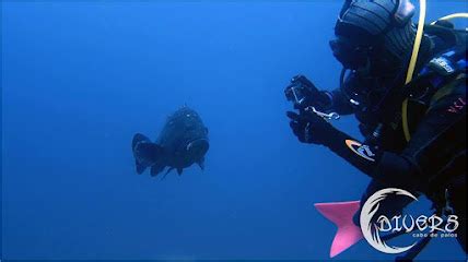 Buceo Islas Hormigas Dive Center Cabo De Palos